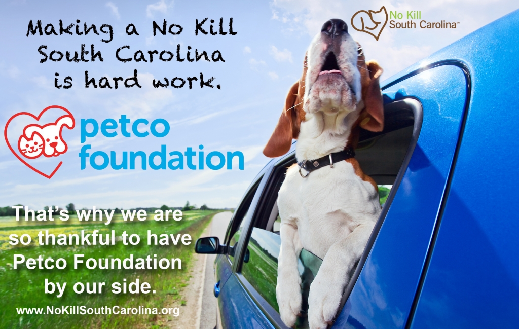 No Kill Strategy No Kill South Carolina